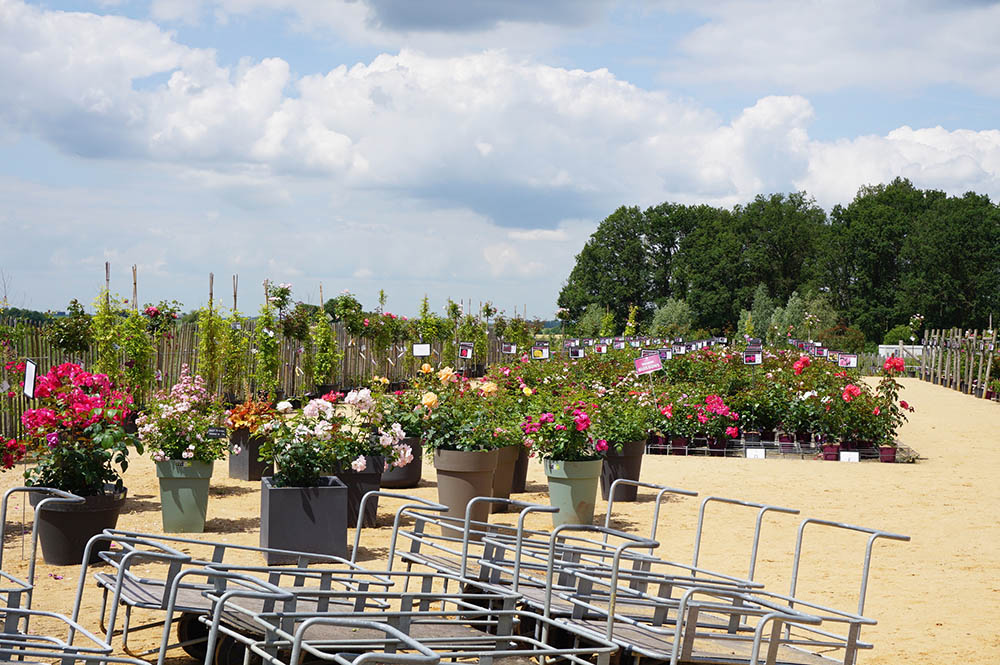 アンドレ・エヴの販売コーナー