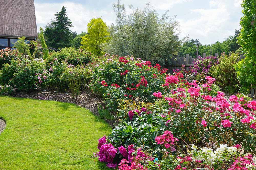 アンドレ・エヴのバラ園