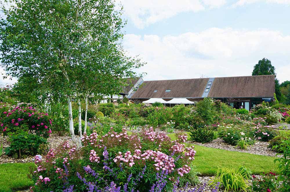 アンドレ・エヴのバラ園