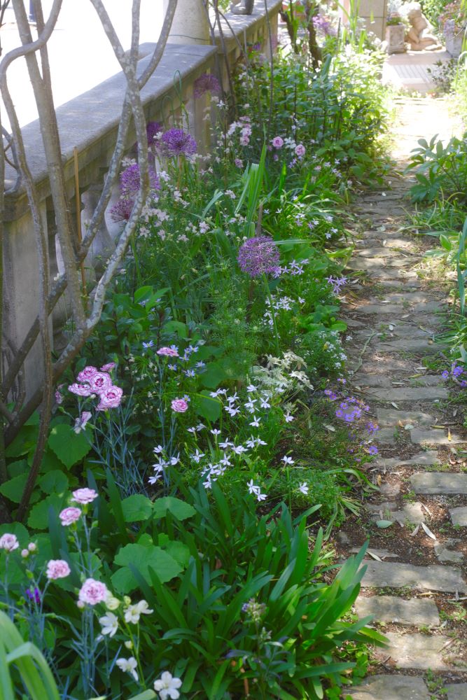 アリウムの小道
