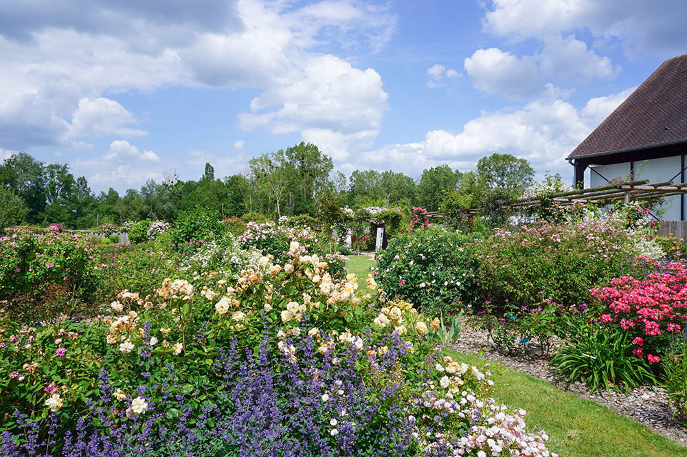 アンドレ・エヴのバラ園