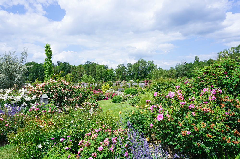 アンドレ・エヴのバラ園