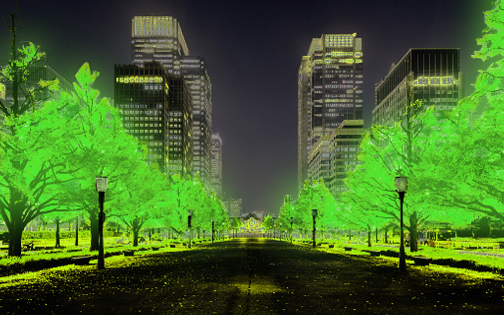 自発光植物を利用した未来のまちのイメージ
（写真提供：大阪大学 産業科学研究所 永井健治教授）
