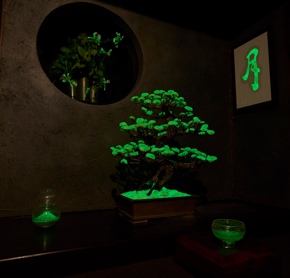 大阪・関西万博での展示の様子。成形したカルス（植物細胞の塊）やタバコの花が緑色に光る様子が楽しめるように配置した。
（写真提供：大阪大学 産業科学研究所 永井健治教授）
