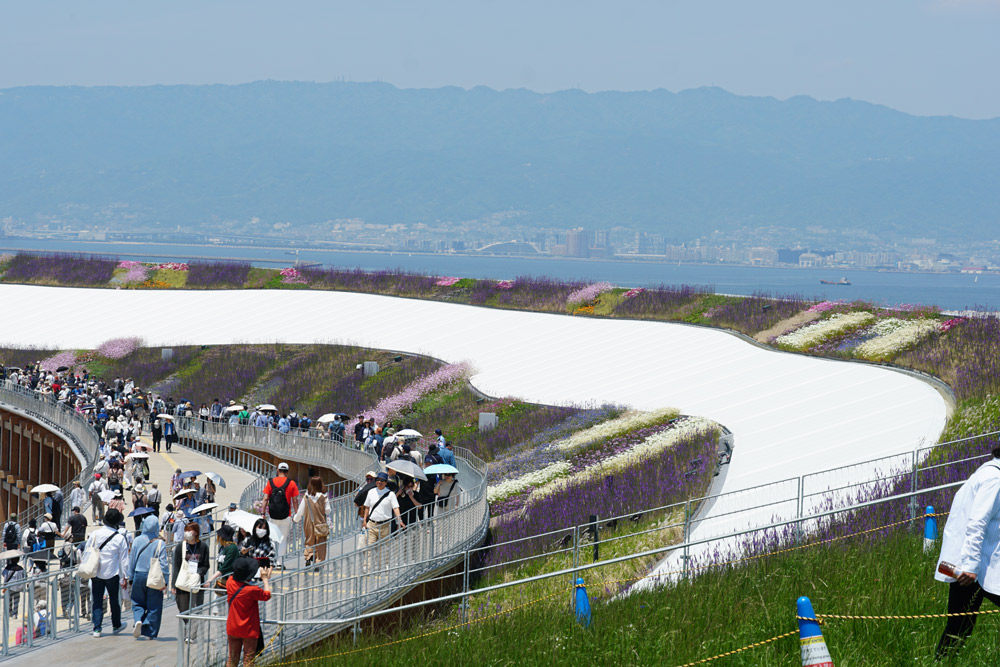 大屋根リングではストライプ柄が浮き出るように植物を植栽している。長い会期の中で、花が咲かない時期も楽しんでもらうための工夫だ。