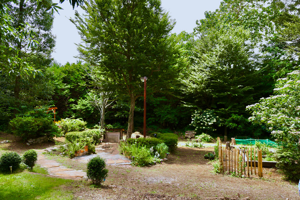 番組を通じてプロのアドバイスも入り、エリアも整理されて立体的に整ってきた現在の庭（2025年8月撮影）。