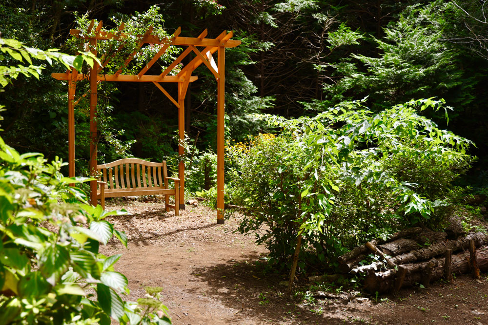 「黒谷さまの特等席」。パーゴラにはつる植物のテイカカズラが程よく伸び、珍しい実がなっていました。（2025年8月撮影）