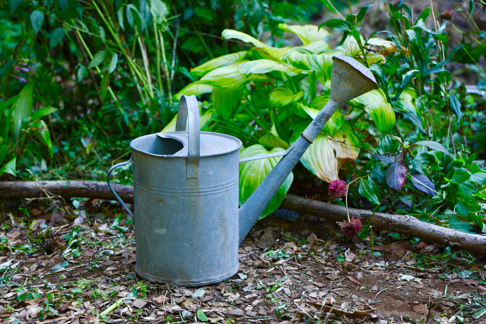 これが私の愛用ガーデニングツール！① 〜ジョウロ〜