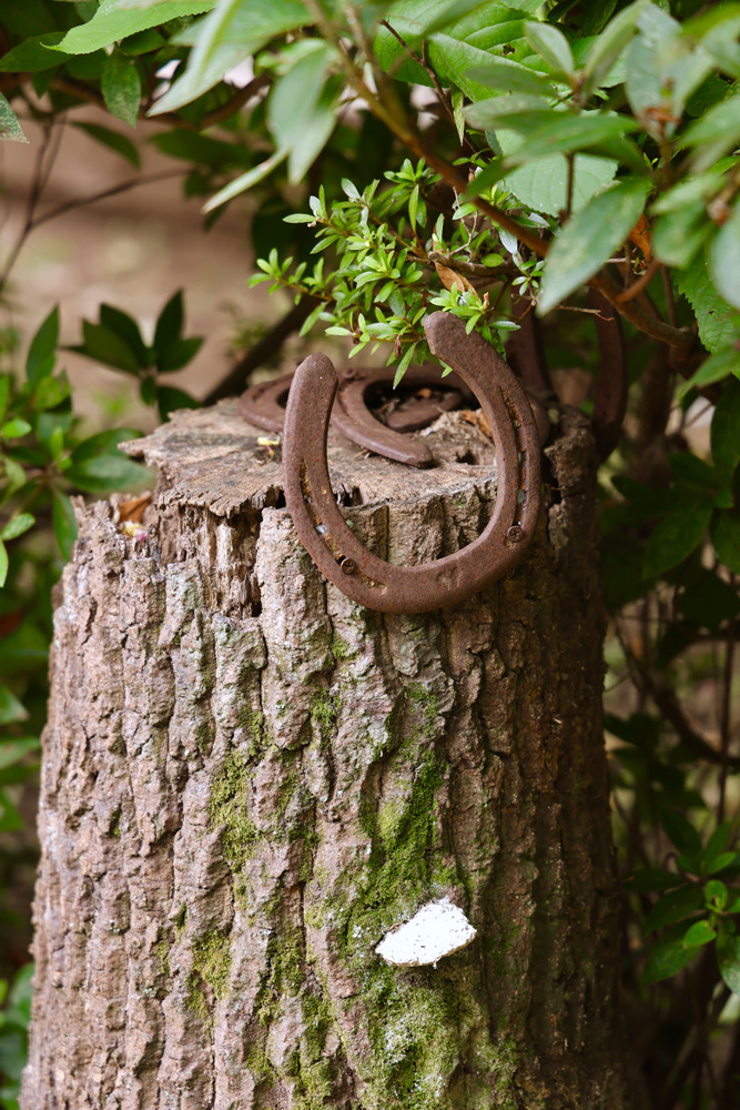 黒谷さんの庭には、蹄鉄など馬グッズが庭の随所に。