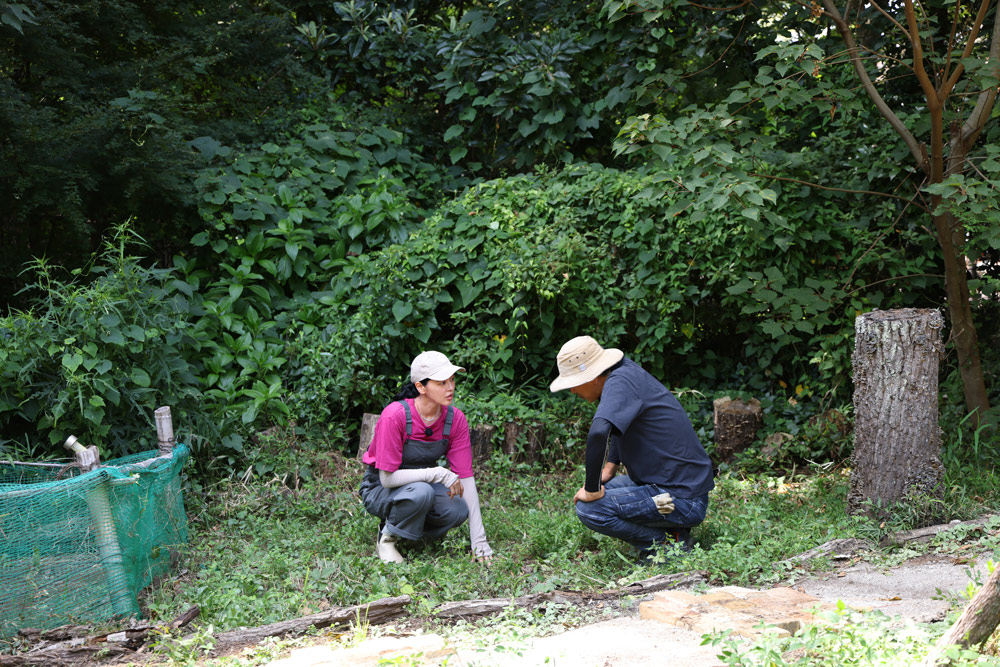 シェードガーデン作り