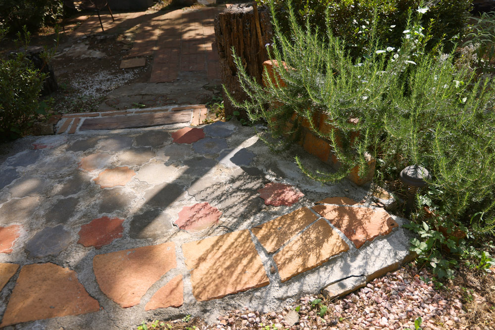 ローズマリー（収穫期：4〜11月　※冬も少量なら可）