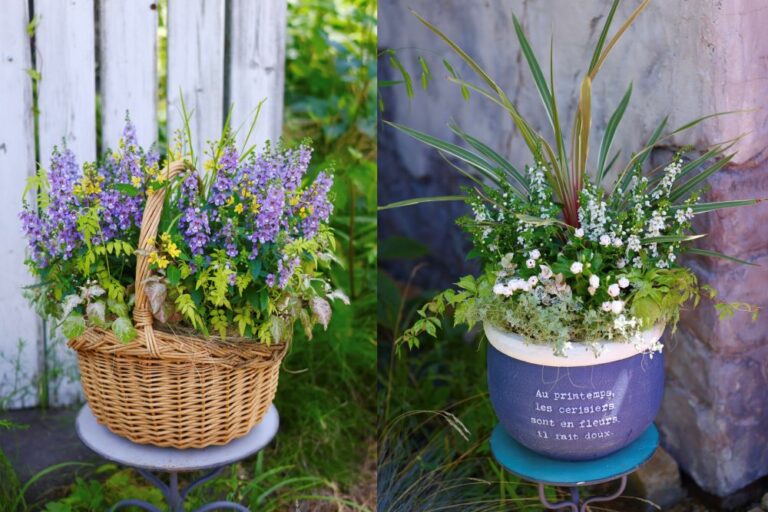 プロが教える夏の寄せ植え2選｜補色で魅せる華やかバスケット＆白×リーフの涼感アレンジ