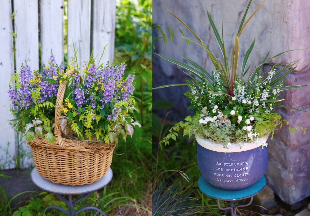 プロが教える夏の寄せ植え2選｜補色で魅せる華やかバスケット＆白×リーフの涼感アレンジ