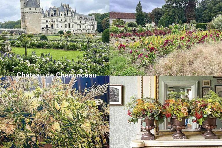 【一度は行きたい】花好きも魅了するフランス「シュノンソー城」王妃たちの庭園を巡る旅