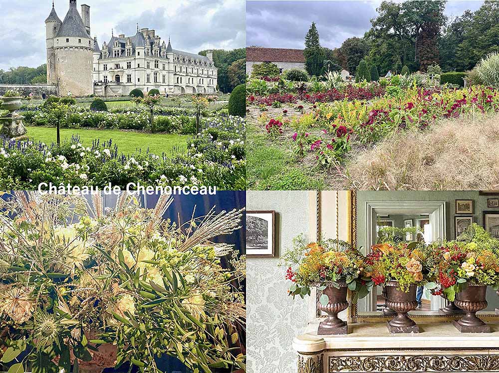 【一度は行きたい】花好きも魅了するフランス「シュノンソー城」王妃たちの庭園を巡る旅