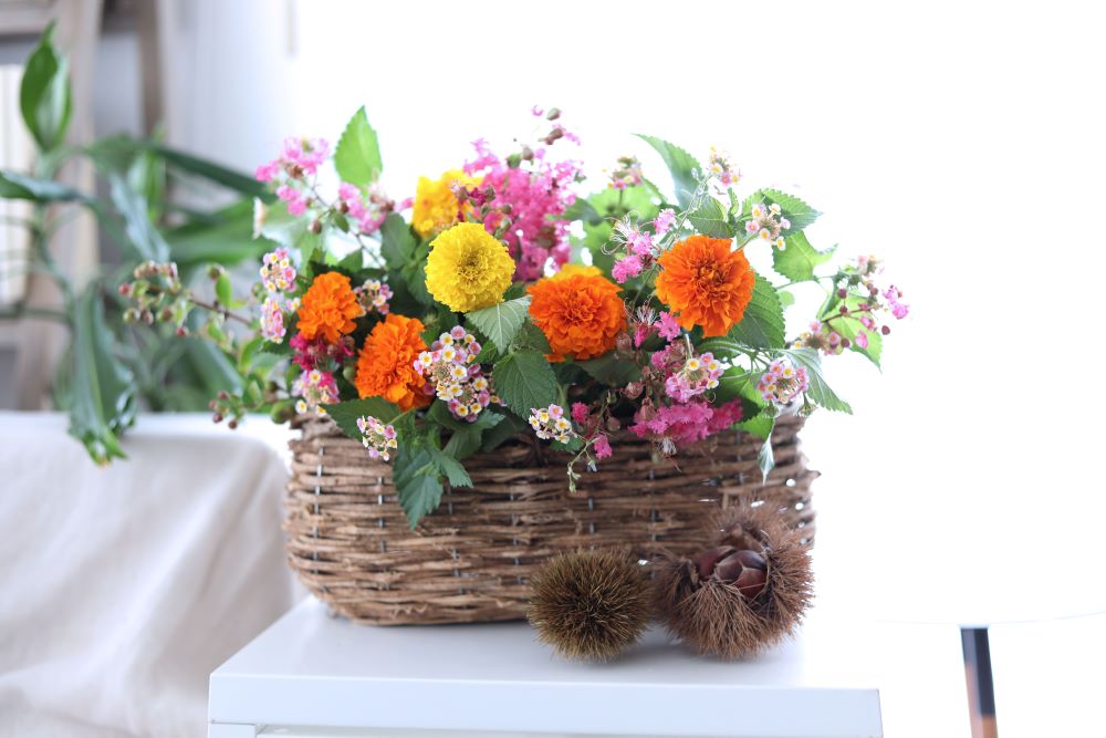飾るだけで秋を感じる！ マリーゴールドが主役の簡単アレンジ2タイプ｜人気品種や長もちのコツもご紹介