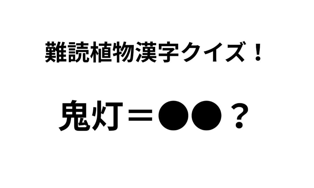「鬼灯」ってなんて読む？ 正解できたらすごい難読植物名漢字クイズ【Let’s Try! 植物クイズ】Vol.13