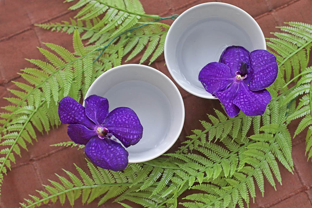 200円の花瓶が優秀すぎ！ 長もちする高級花「バンダ」で楽しむアジアン花飾り　プチプラ花コーデVol.165