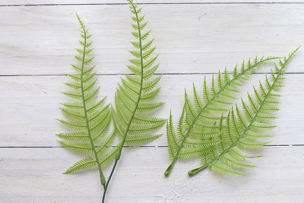 フェイクのシダ