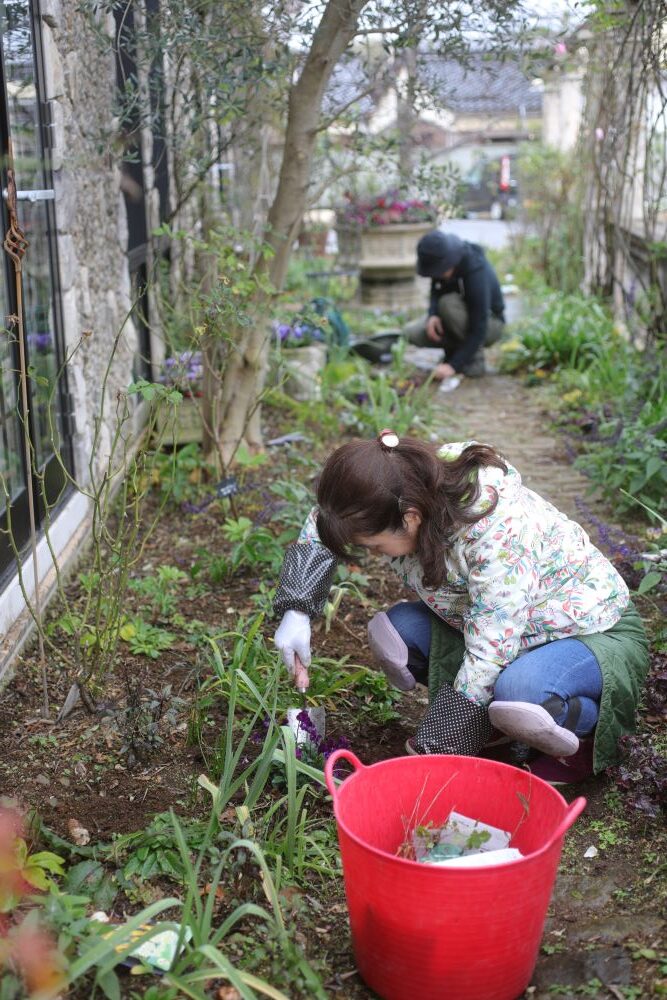 球根の植え付け