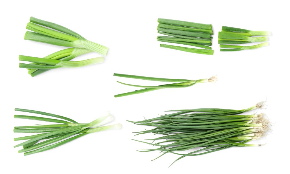 ネギ類