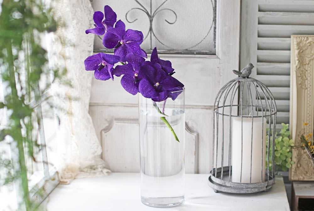 バンダを入れる