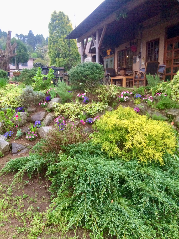 乗馬倶楽部の様子