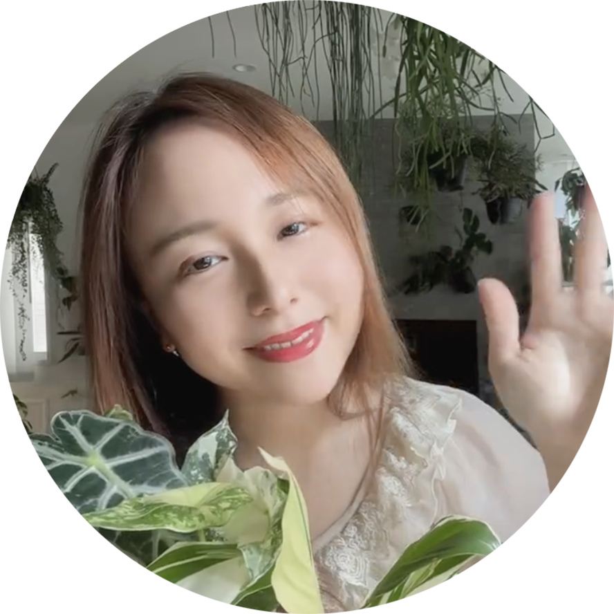 観葉植物系インスタグラマーのみなりん