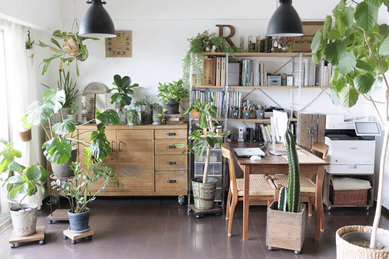 グリーンコーディネーターが教える!インドアグリーンを格上げする「雑貨と鉢の選び方」&3つの飾り方ポイント