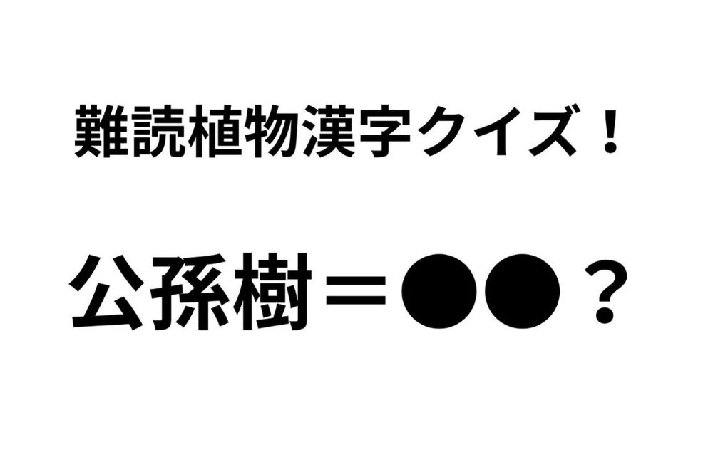 「公孫樹」ってなんて読む？ 正解できたらすごい難読植物名漢字クイズ【Let’s Try! 植物クイズ】Vol.19