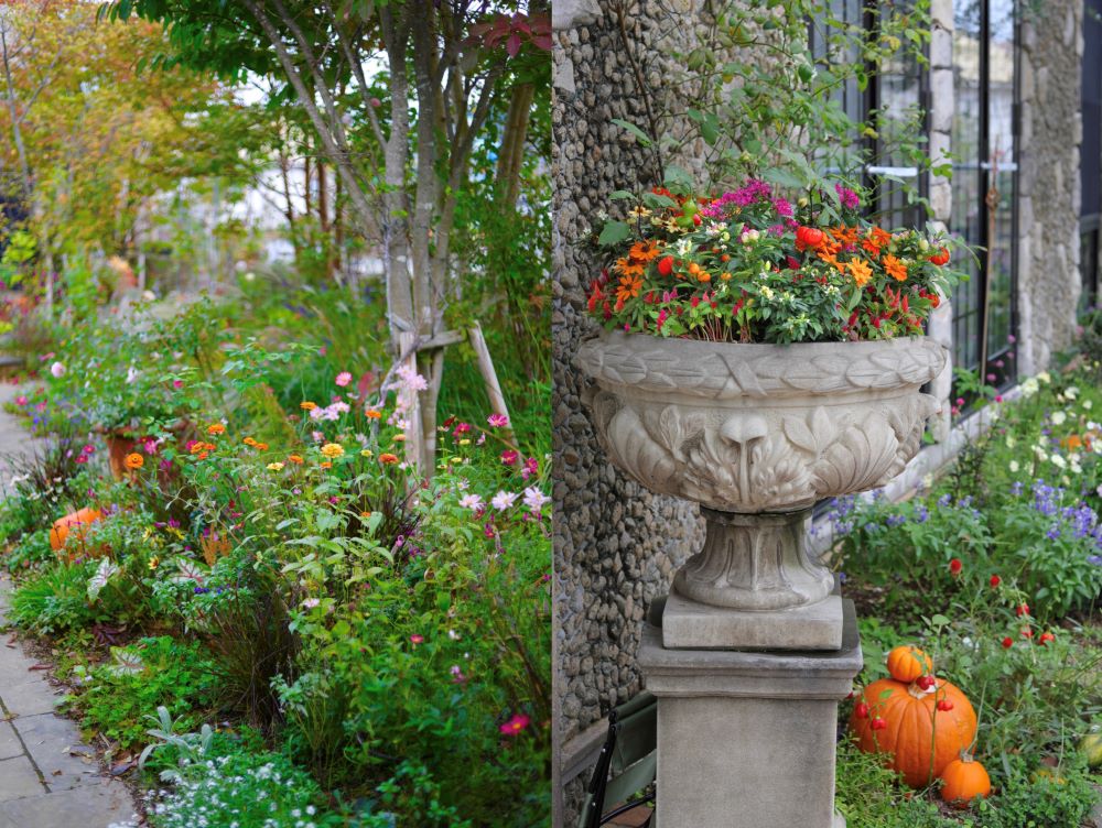 ハロウィンの庭