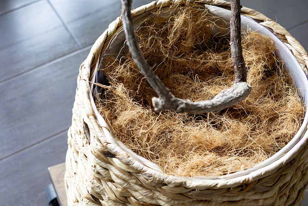 ココヤシファイバーなどのマルチング材