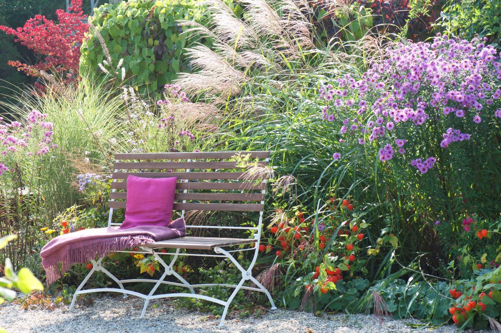 ススキの秋の庭