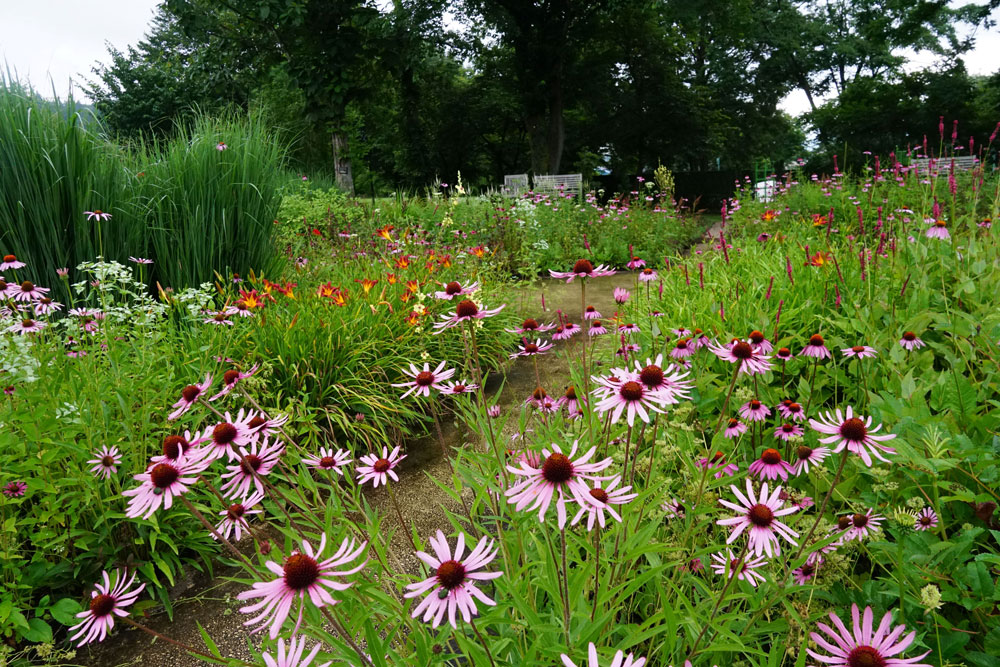 中之条ガーデンズのナチュラルガーデン。花を咲かせる時期だけでなく、枯れる姿も植物の表情として見せる新しいガーデン。
