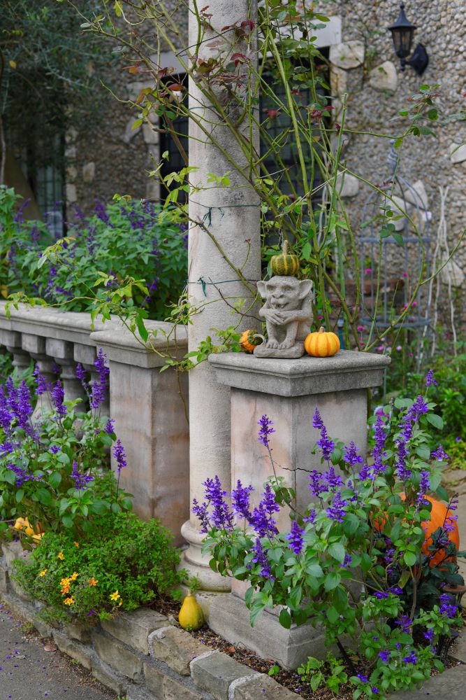 ハロウィンの庭