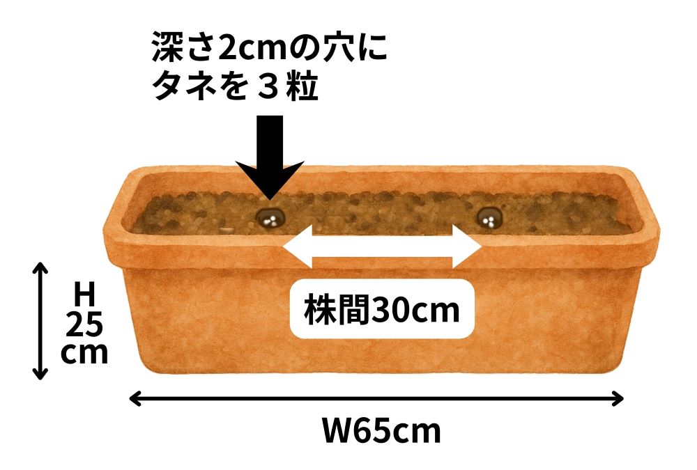 スナップエンドウ栽培