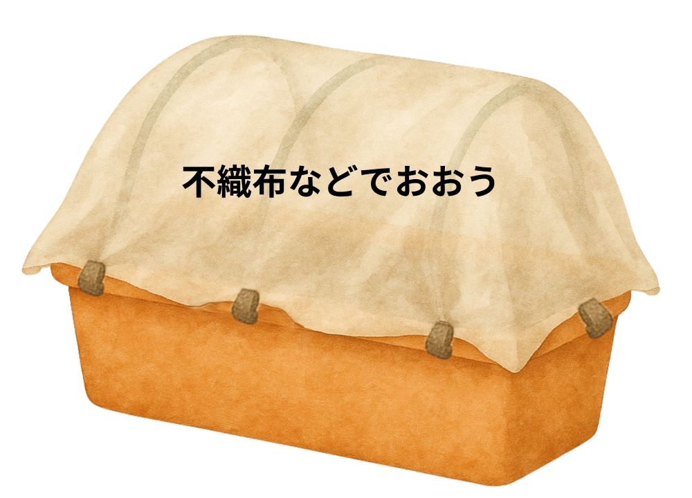 スナップエンドウ栽培