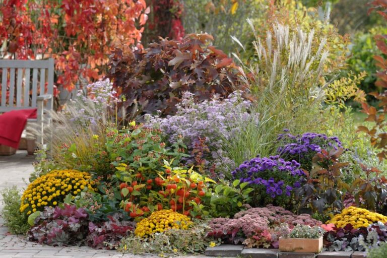 短い秋を最大限に楽しむ! ドイツ出身ガーデナーが選ぶ「日本の気候に合うグラス&宿根草」厳選ガイド