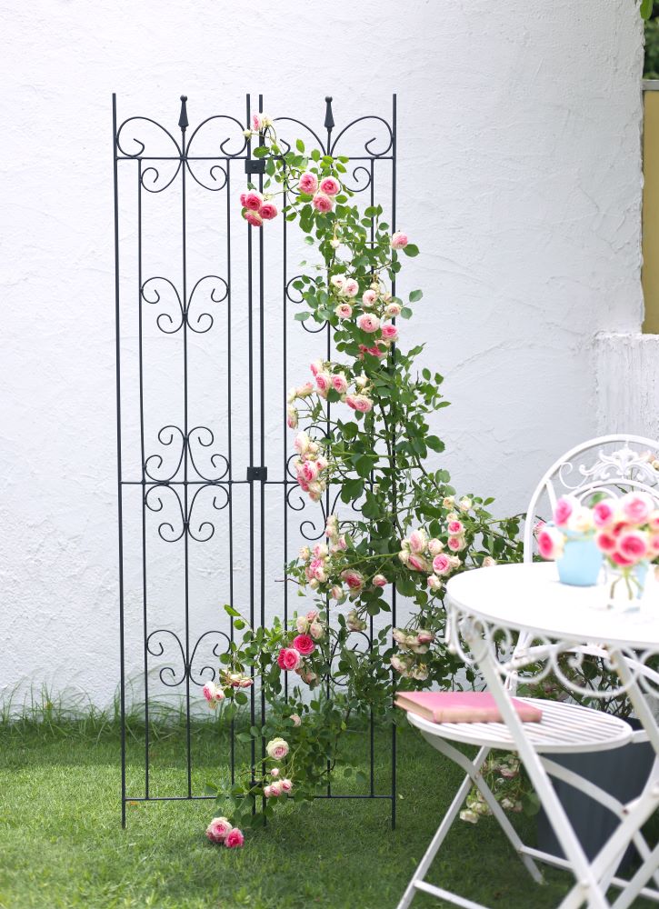 ガーデントレリス