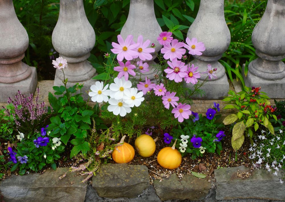 ハロウィンの庭