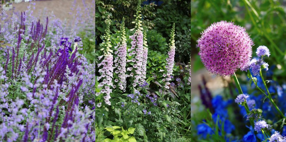 フォーマルガーデンの植物