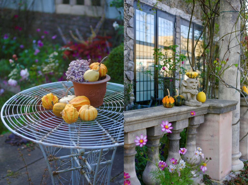 ハロウィンの庭