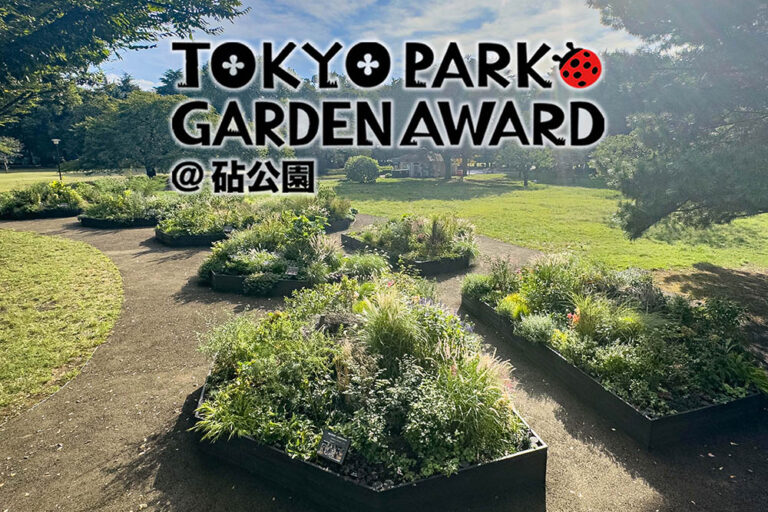 都立公園を新たな花の魅力で彩る「第3回 東京パークガーデンアワード」都立砧公園【秋深まる10月の庭】