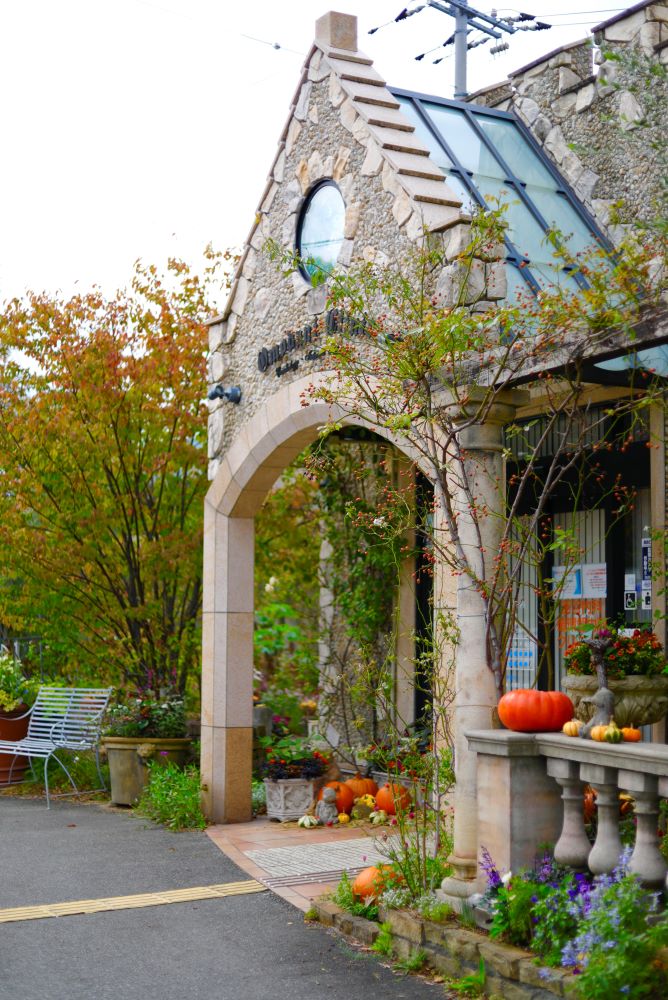 ハロウィンの庭