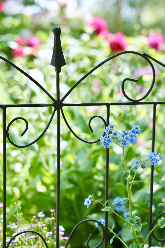 ガーデンストーリーのトレリス・フェンス