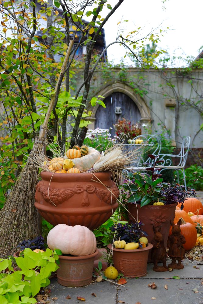 ハロウィンガーデン