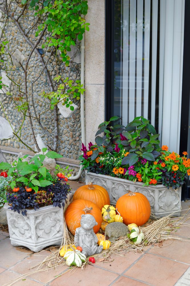 ハロウィンの庭