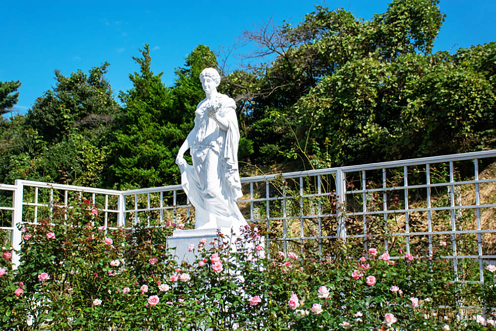 生田緑地ばら苑