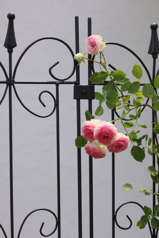 連結させて使う