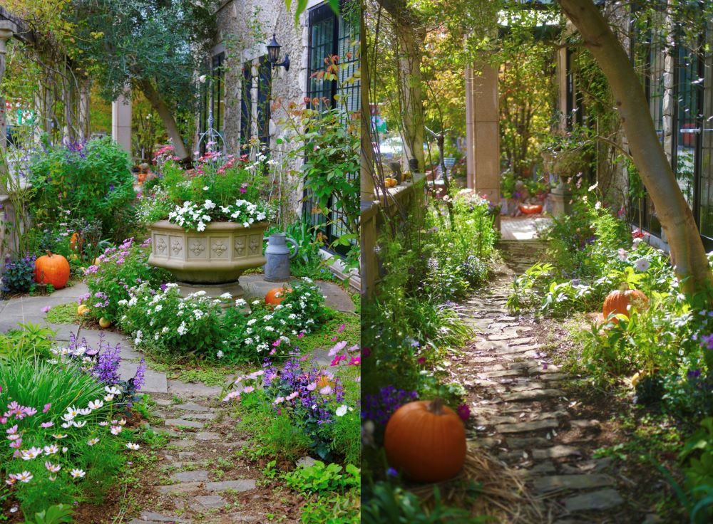 ハロウィンの庭